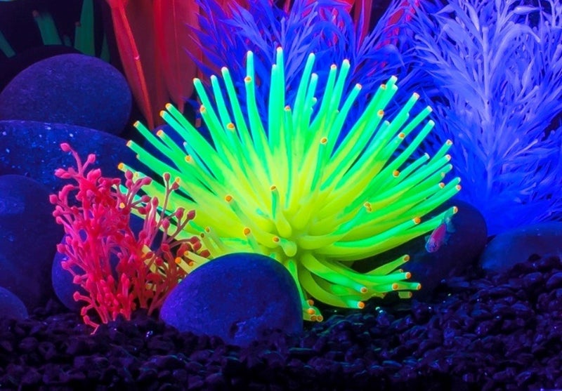 GloFish Anenome Ornaments, Fish Tank Decorations, Aquarium Decorations, Creates a Glowing Effect - Image 3